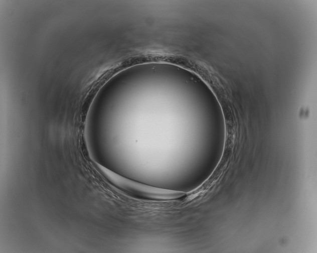 X0000090971157200708161830