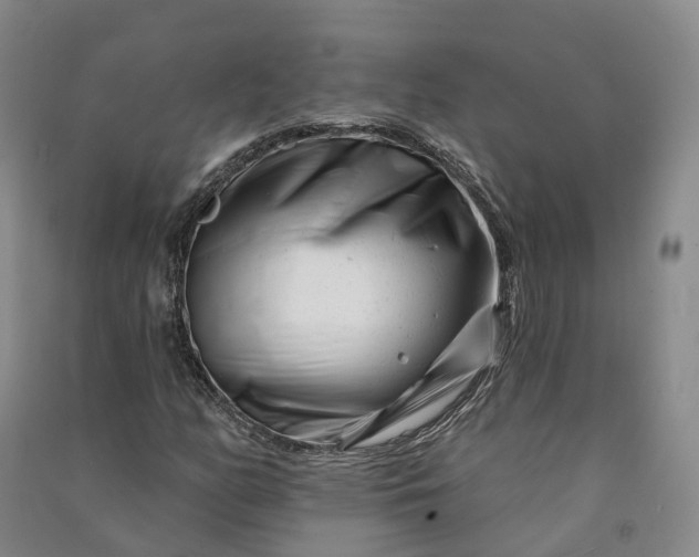 X0000090971158200708161830