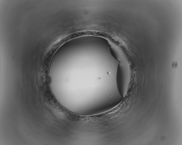 X0000090971159200708161830