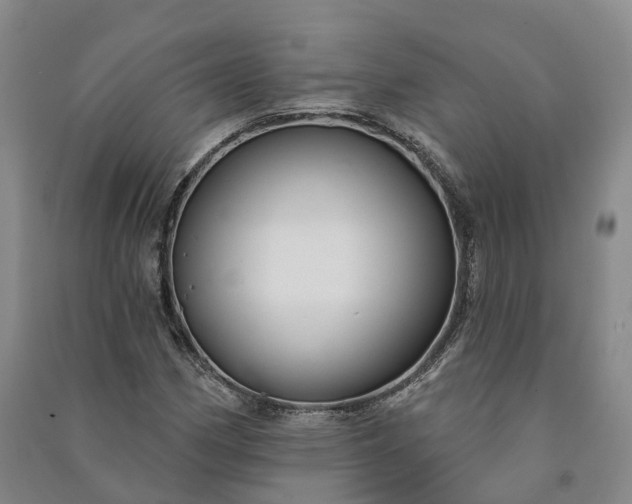 X0000090971162200708161830