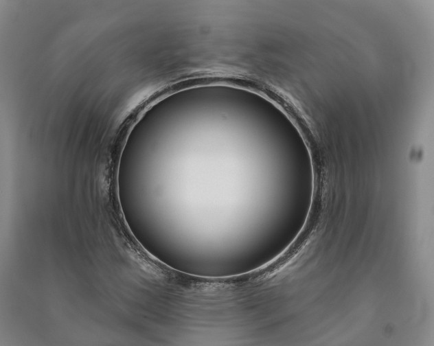 X0000090971163200708161830