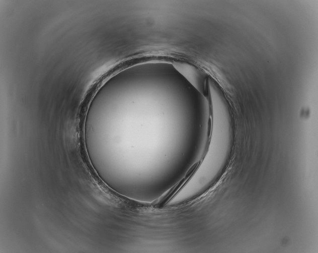 X0000090971164200708161830