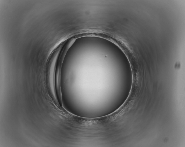 X0000090971165200708161830