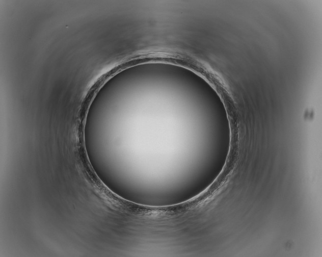 X0000090971166200708161830