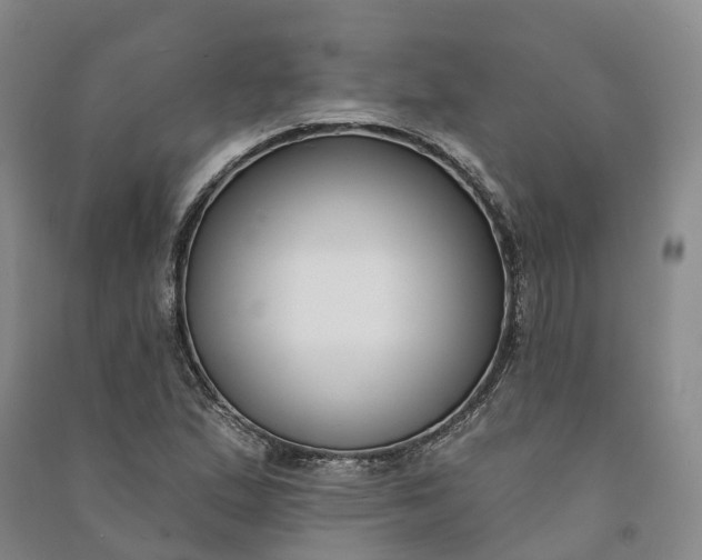 X0000090971167200708161830