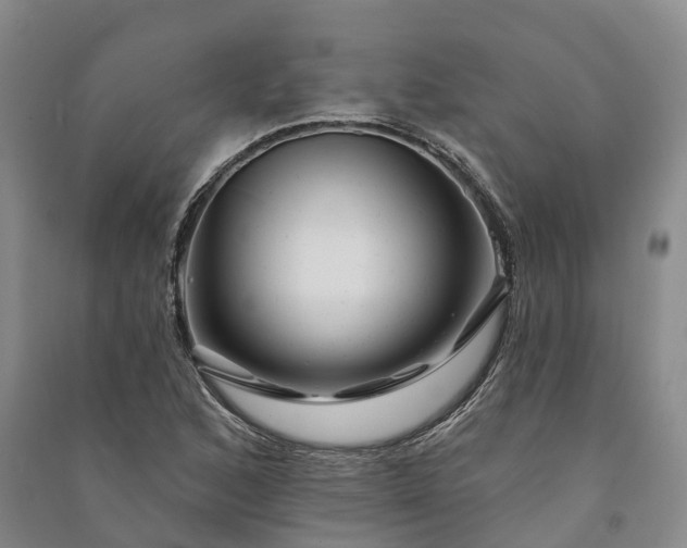 X0000090971168200708161830