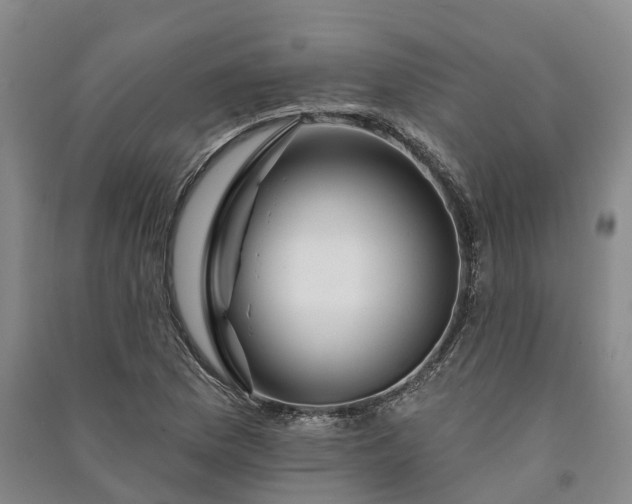 X0000090971169200708161830