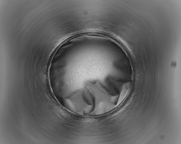 X0000090971170200708161830