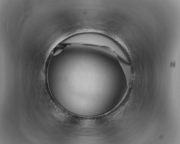 X0000090971173200708161830