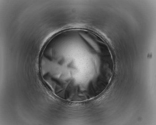 X0000090971174200708161829