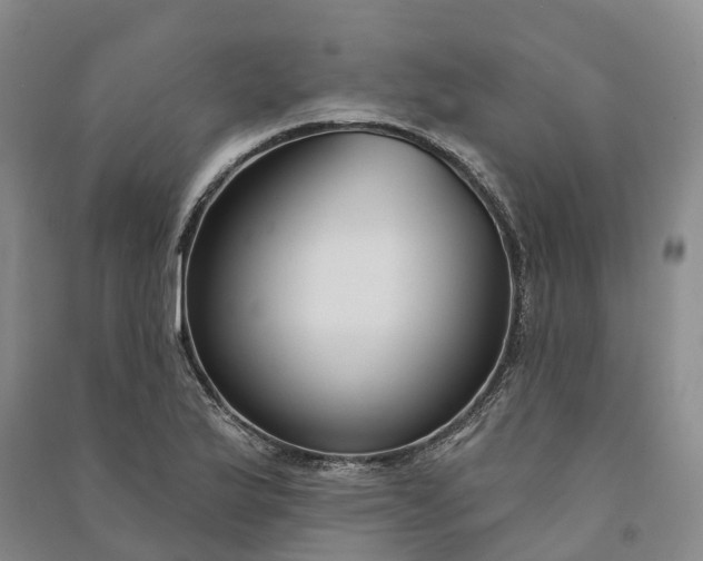 X0000090971175200708161829