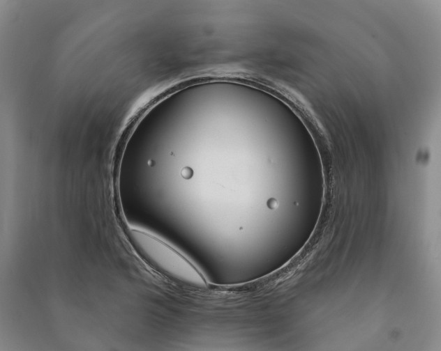 X0000090971176200708161829