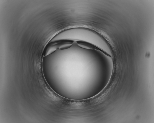 X0000090971177200708161829