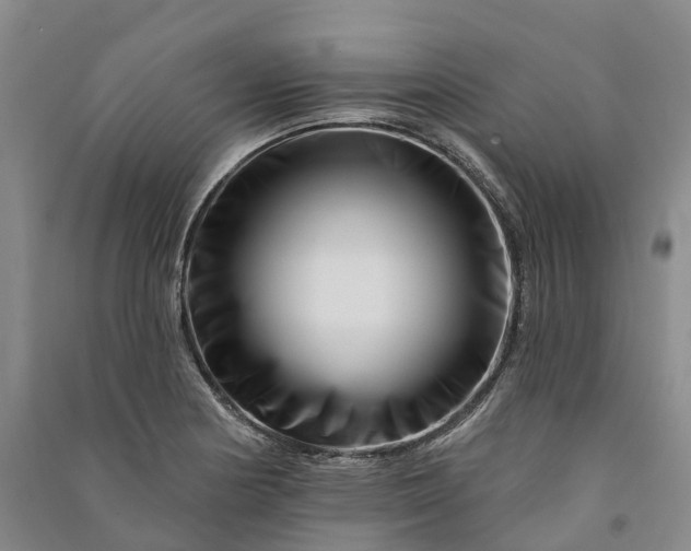 X0000090971178200708161829