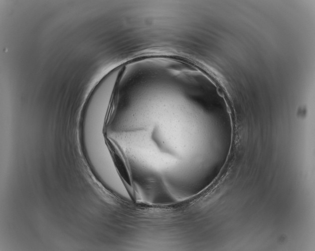 X0000090971179200708161829