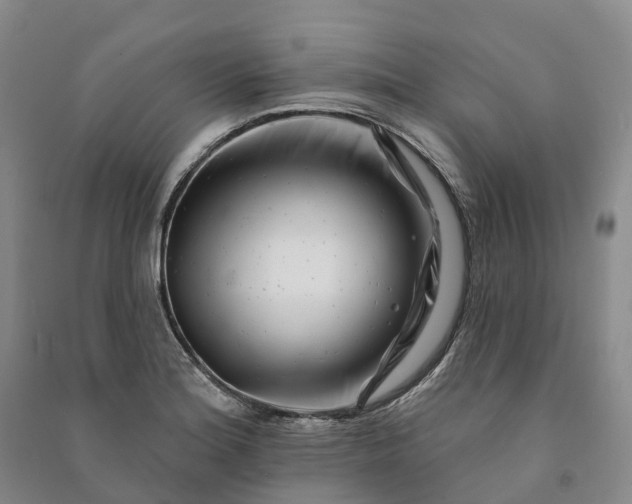 X0000090971180200708161829