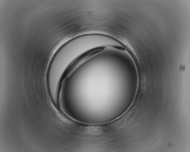 X0000090971181200708161829