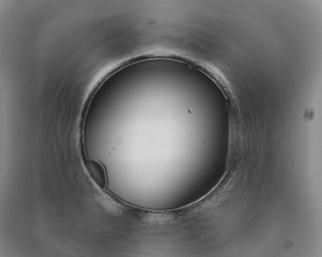 X0000090971183200708161829