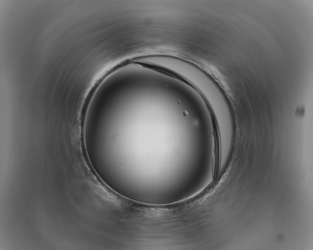 X0000090971184200708161829