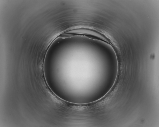 X0000090971185200708161829