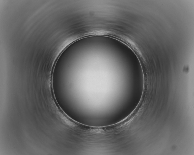 X0000090971186200708161829