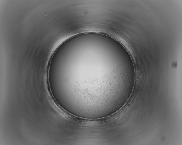 X0000090971187200708161829