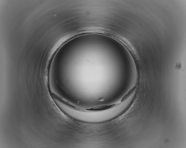 X0000090971188200708161829