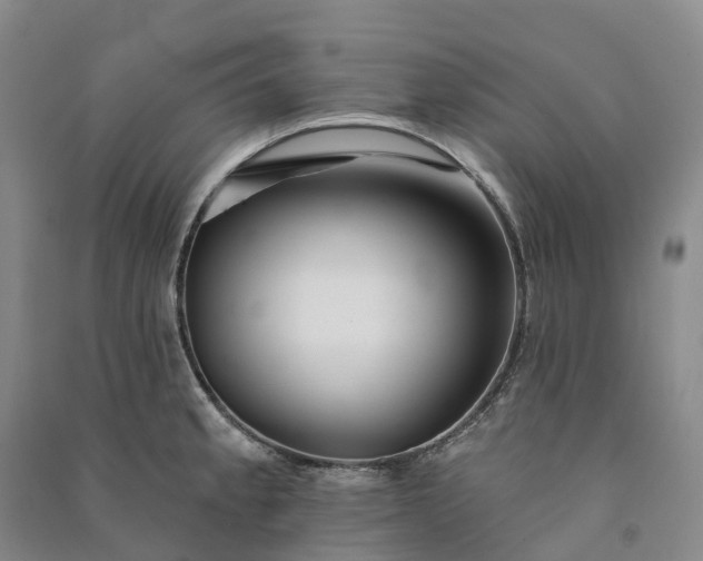 X0000090971189200708161829