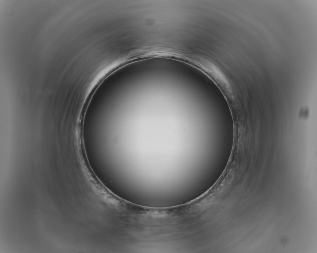 X0000090971190200708161829