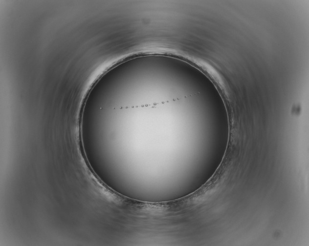 X0000090971191200708161829