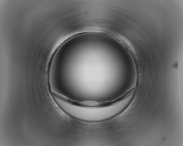 X0000090971192200708161829