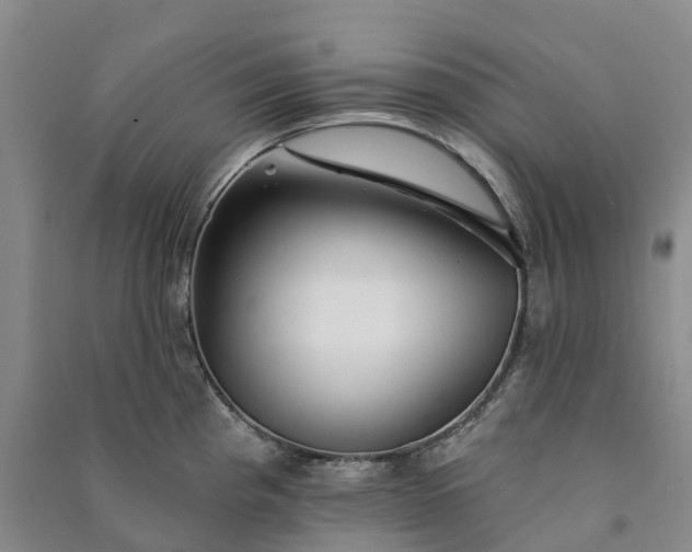 X0000090971193200708161829