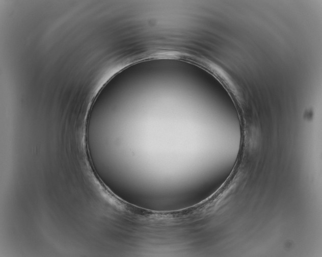 X0000090971194200708161829