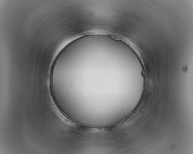 X0000090971195200708161829