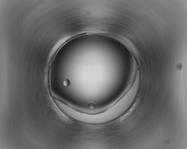 X0000090971196200708161829