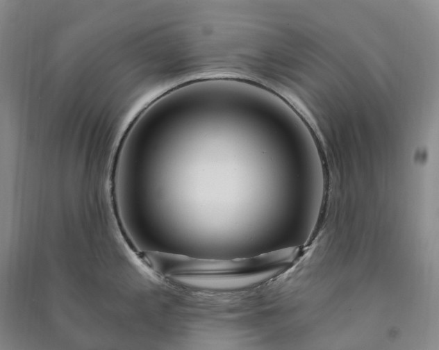 X0000090971197200708161829