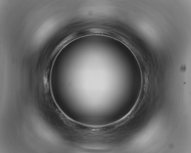 X0000090971198200708161829