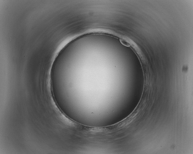 X0000090971199200708161829