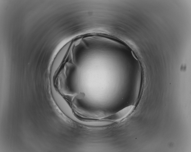 X0000090971200200708161829