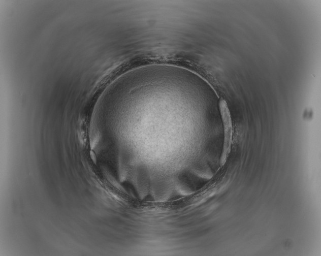 X0000090971202200708161828