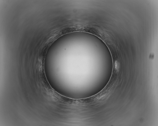 X0000090971203200708161828