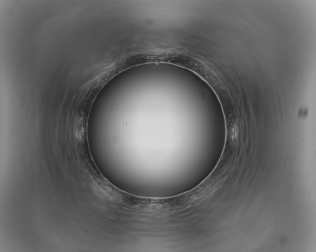 X0000090971204200708161828