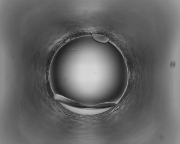 X0000090971205200708161828