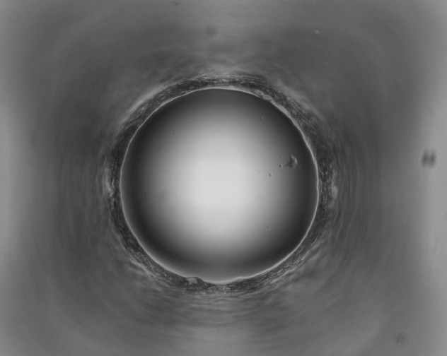 X0000090971206200708161828