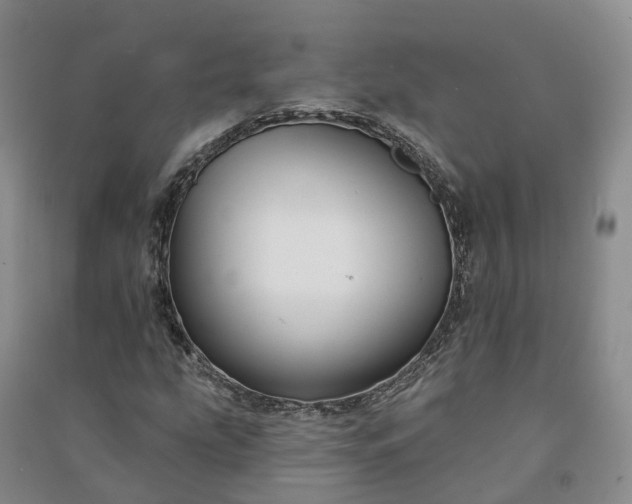 X0000090971207200708161828