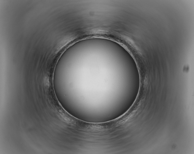 X0000090971209200708161828