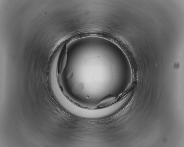 X0000090971210200708161829