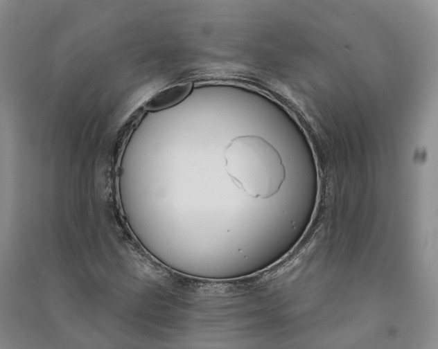 X0000090971211200708161829