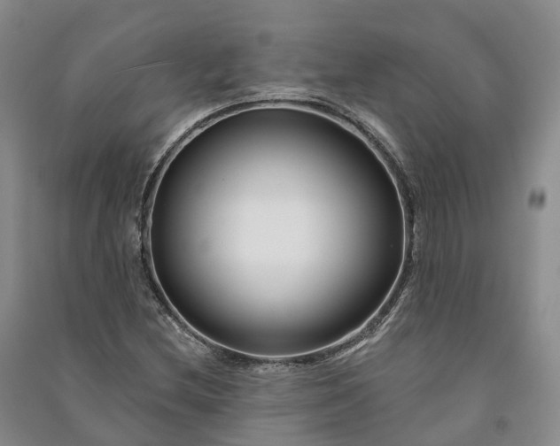 X0000090971212200708161829