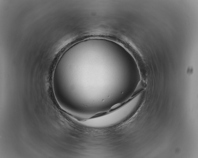 X0000090971213200708161829